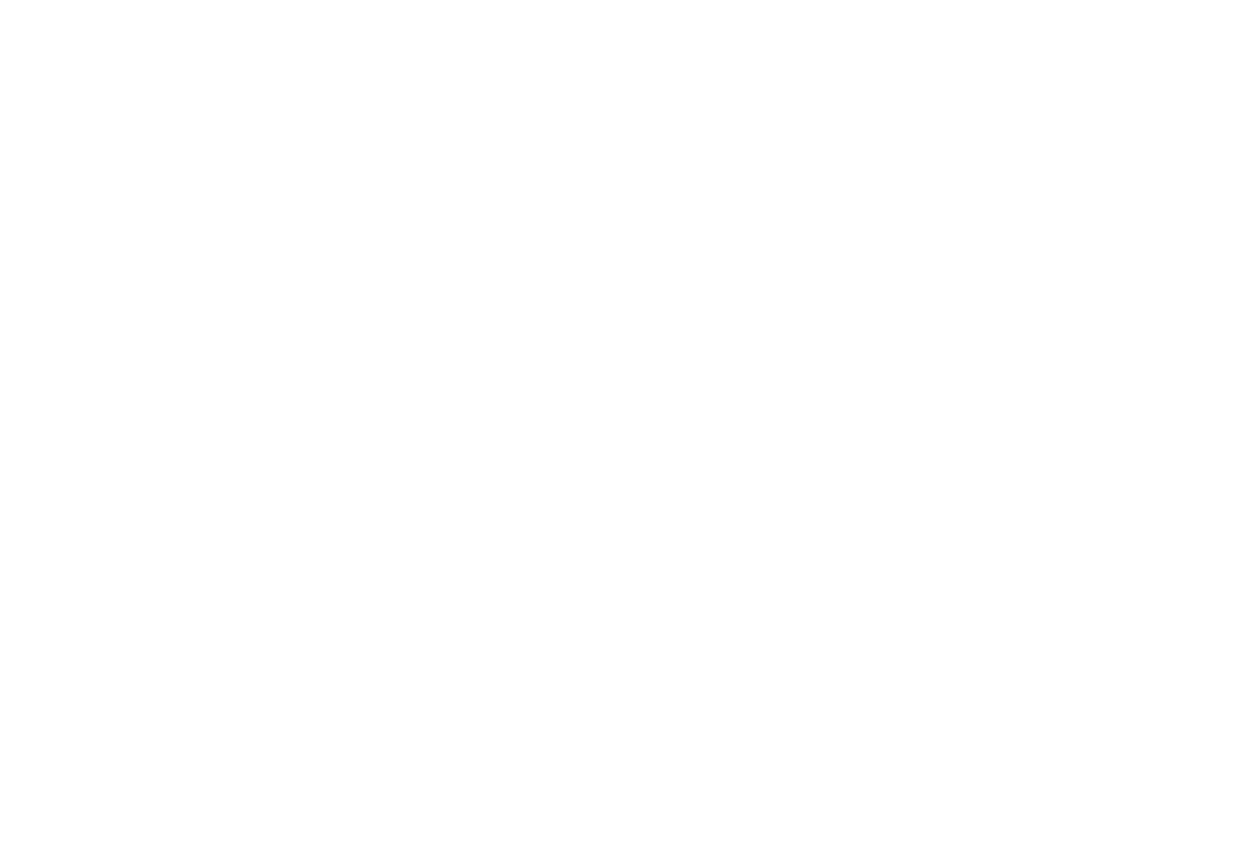 Carmolimp — din 1993